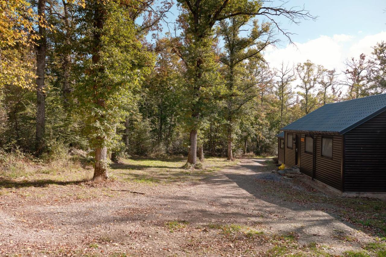 Chalet D'Un Ami Villa Somme-Leuze Eksteriør billede